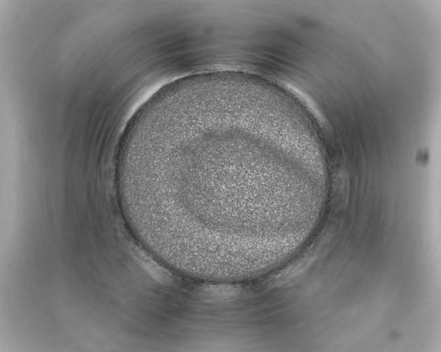 X0000090471023200708102129