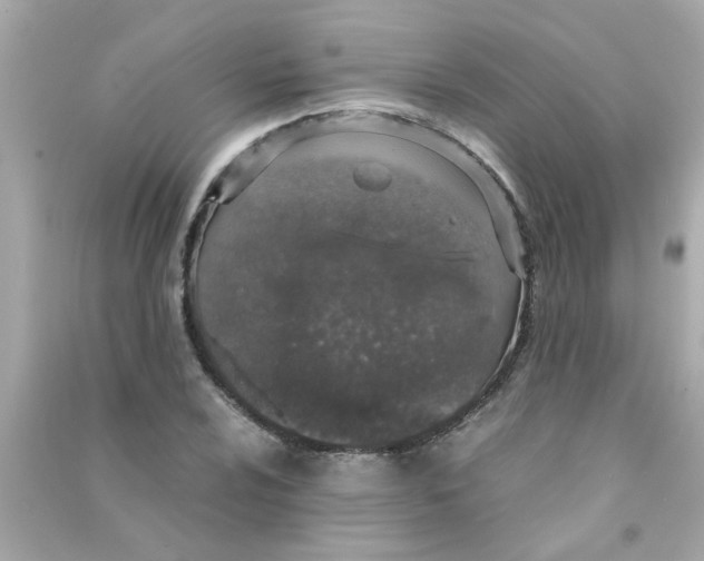 X0000090471024200708102129