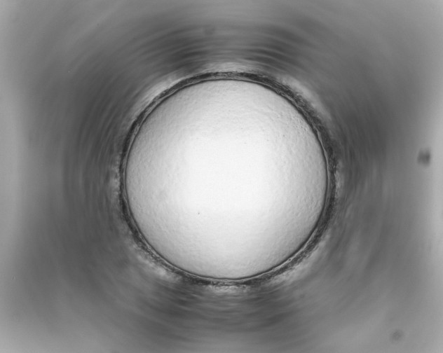 X0000090471025200708102129