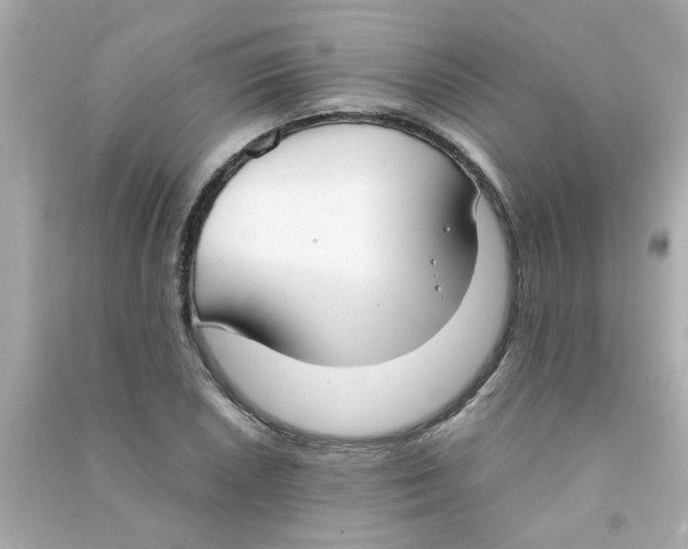 X0000090471026200708102129