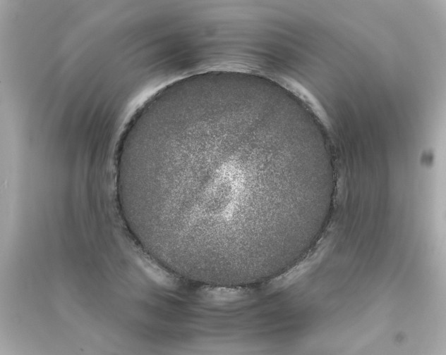 X0000090471027200708102129