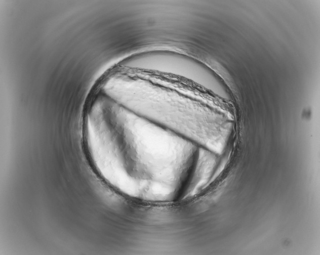 X0000090471028200708102129