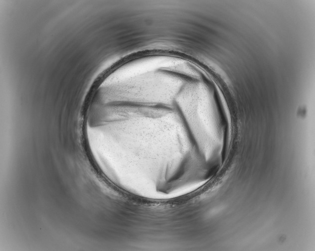 X0000090471029200708102129