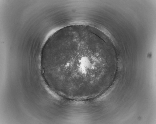 X0000090471030200708102129