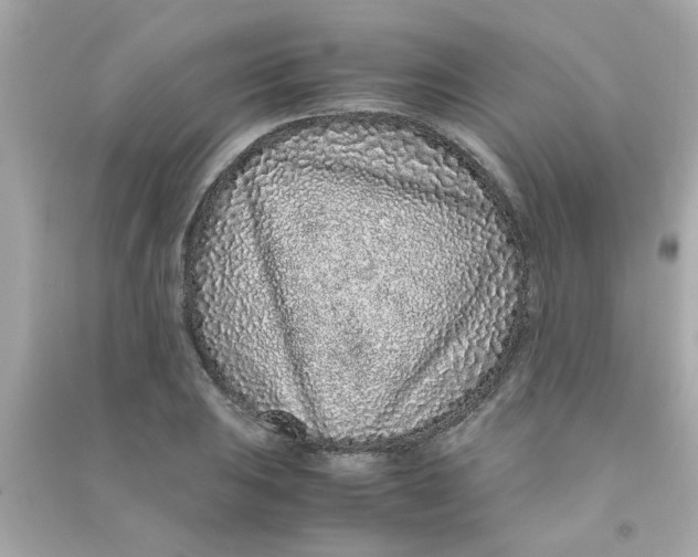 X0000090471031200708102129