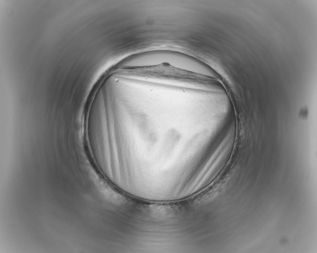 X0000090471032200708102129