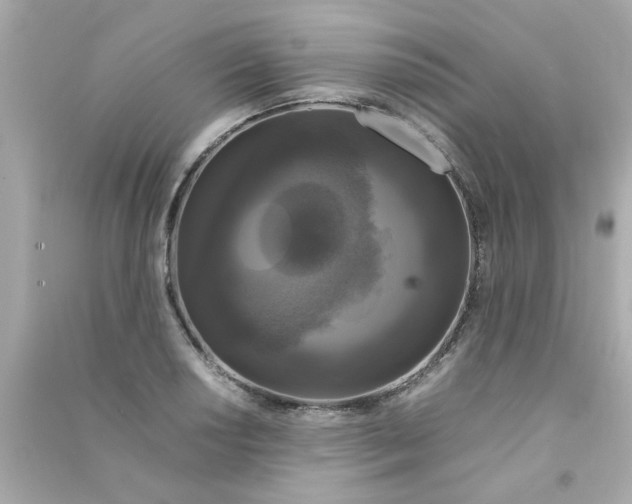 X0000090471034200708102129