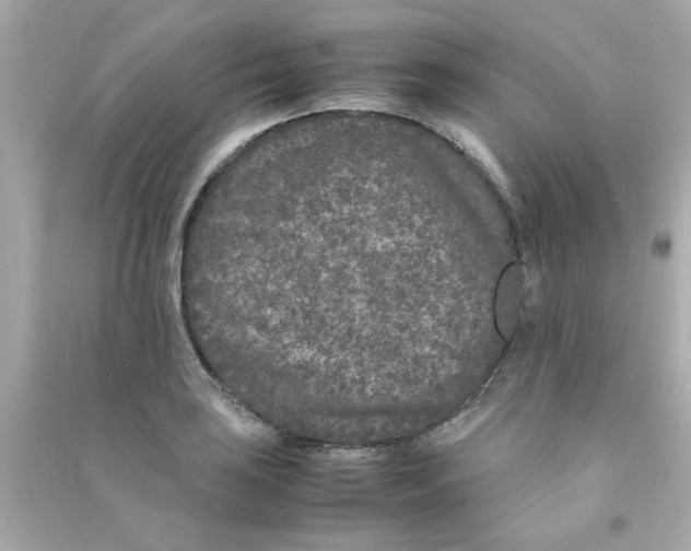 X0000090471035200708102129