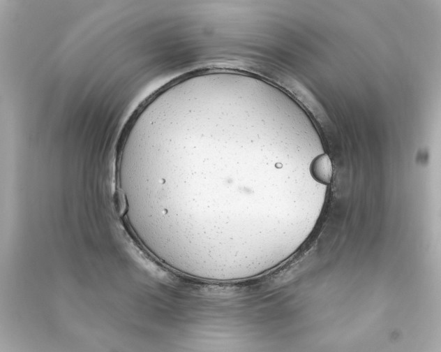 X0000090471036200708102129