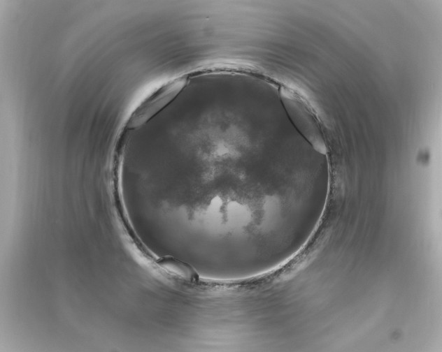 X0000090471038200708102129