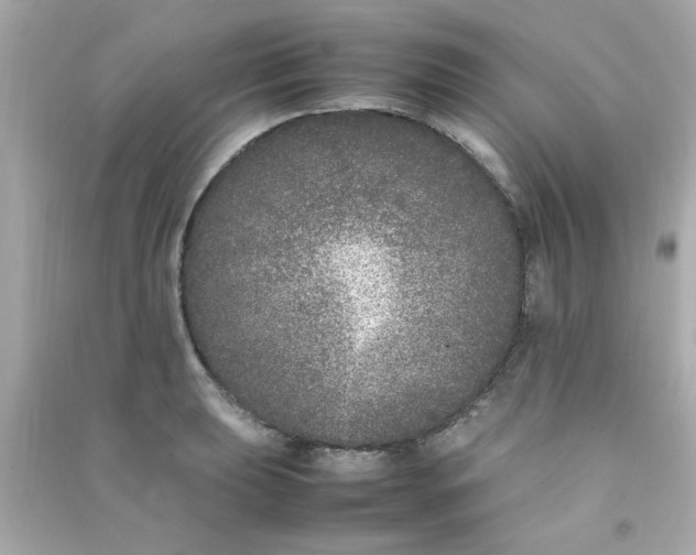 X0000090471039200708102129