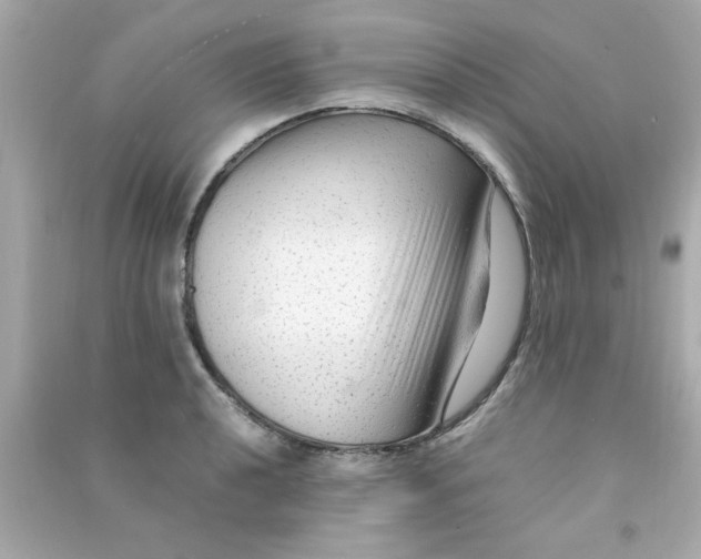 X0000090471040200708102129