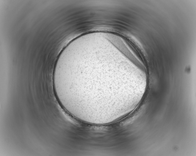 X0000090471041200708102129