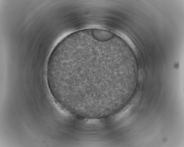 X0000090471043200708102129