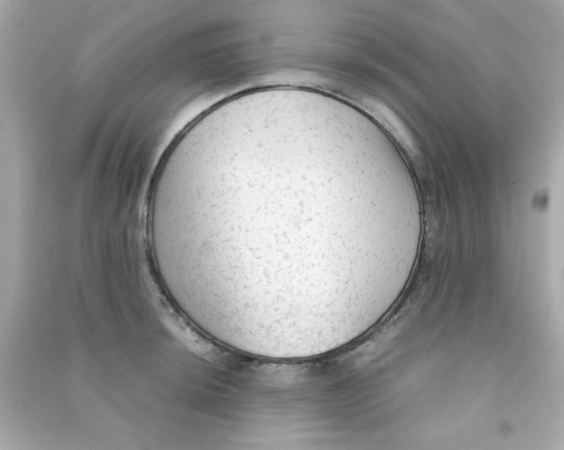 X0000090471044200708102129