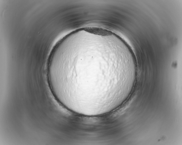 X0000090471045200708102129