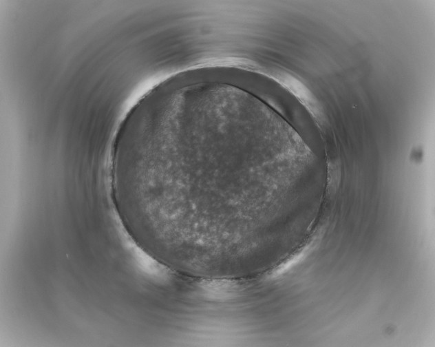 X0000090471046200708102129