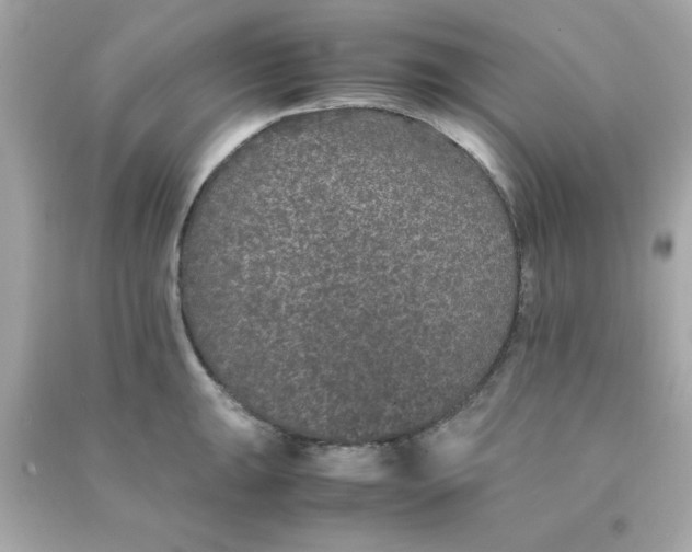 X0000090471047200708102129