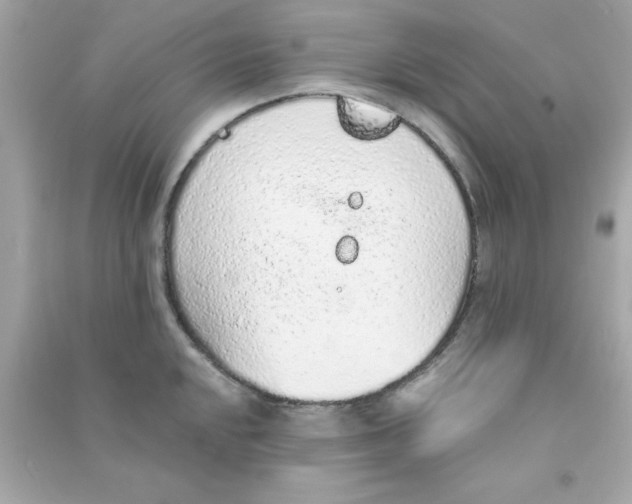 X0000090471048200708102129