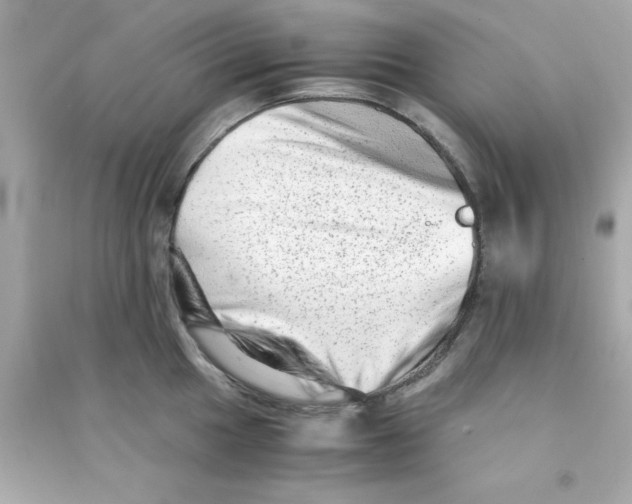 X0000090471049200708102129