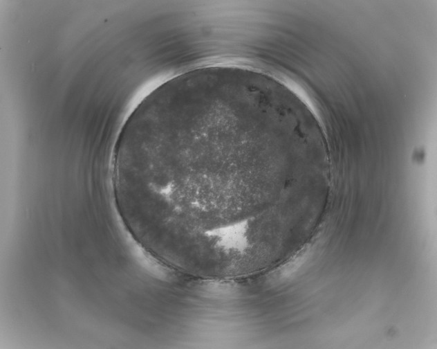 X0000090471050200708102129