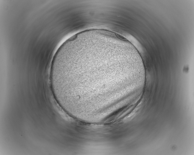 X0000090471052200708102129