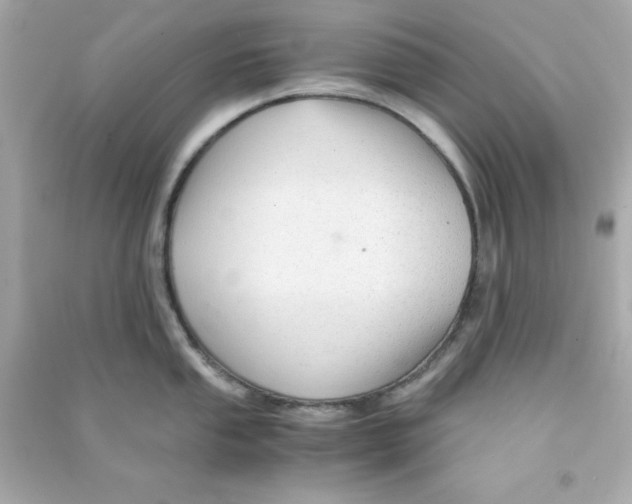 X0000090471053200708102129