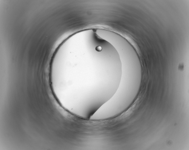 X0000090471054200708102129