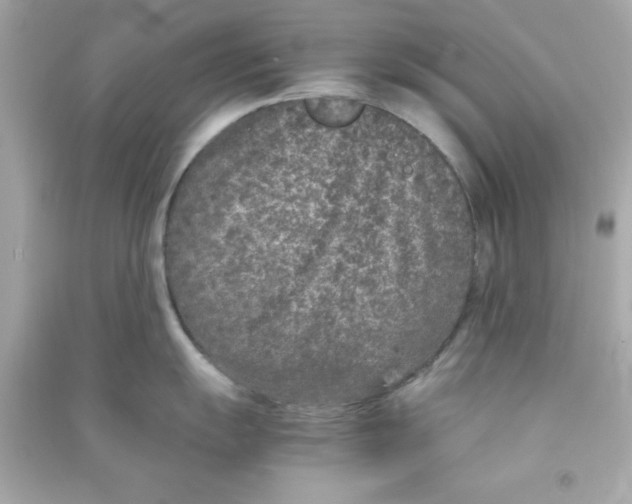 X0000090471055200708102129