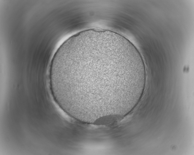 X0000090471056200708102129