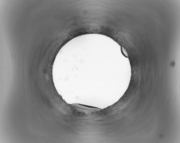 X0000090471057200708102129