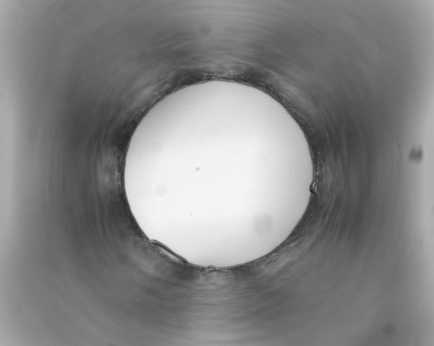 X0000090471058200708102129