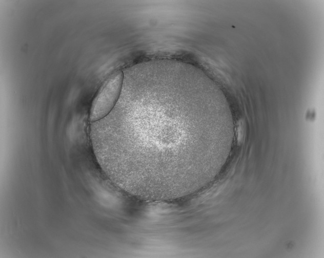 X0000090471059200708102128