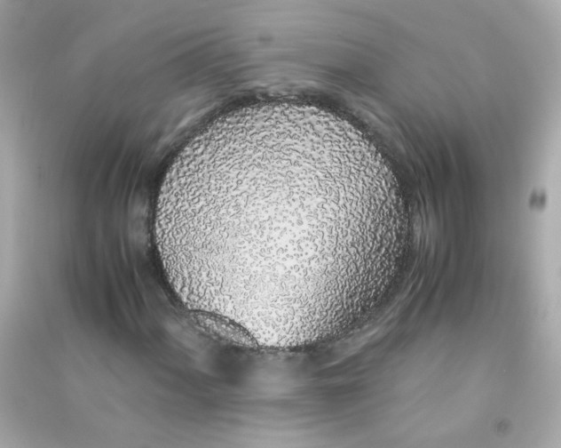 X0000090471060200708102128