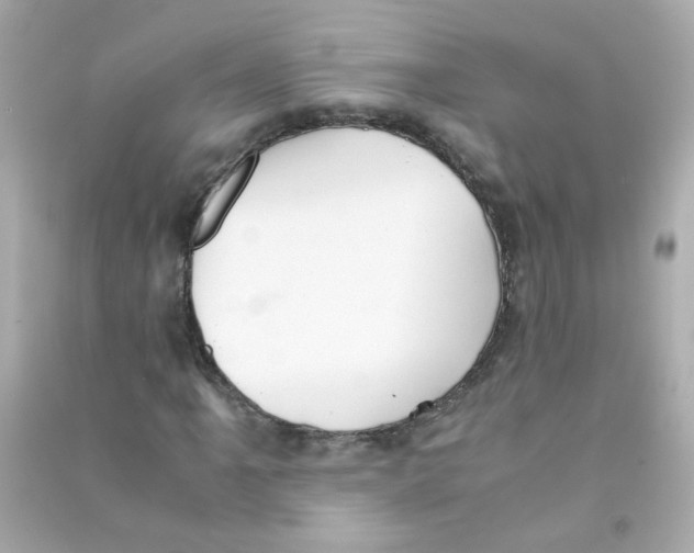 X0000090471061200708102128