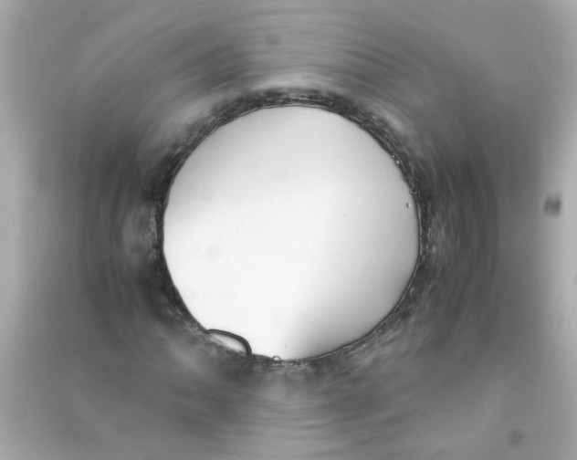 X0000090471062200708102128