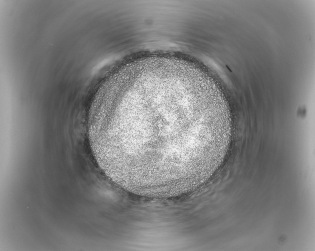 X0000090471063200708102128