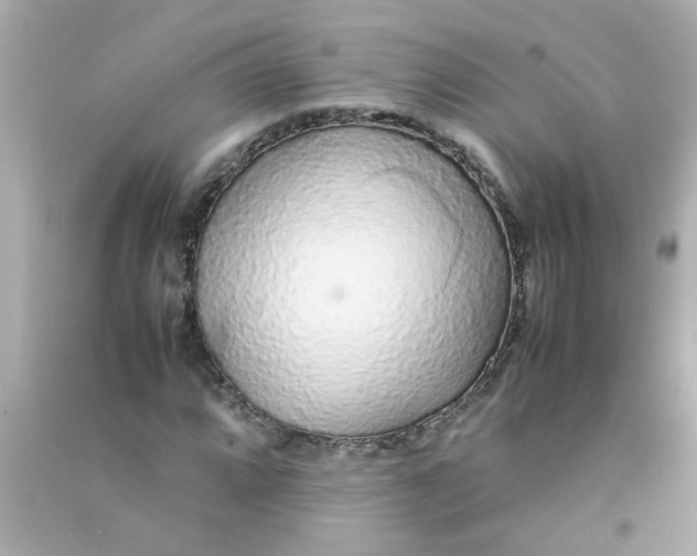 X0000090471064200708102128