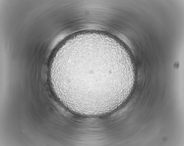 X0000090471067200708102128