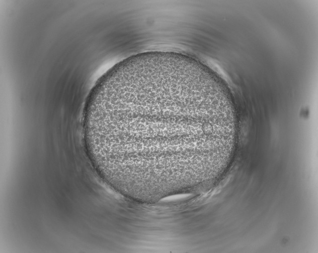 X0000090471071200708102128