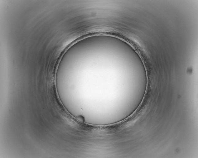 X0000090471073200708102128