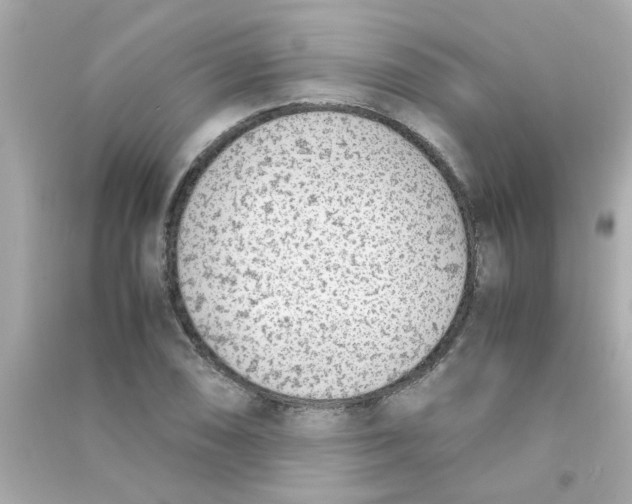 X0000090471074200708102128