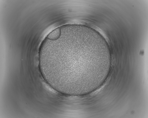 X0000090471075200708102128