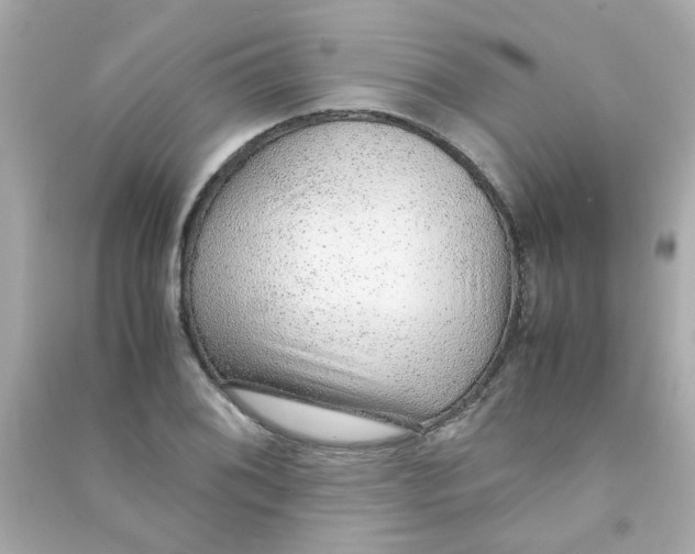 X0000090471076200708102128