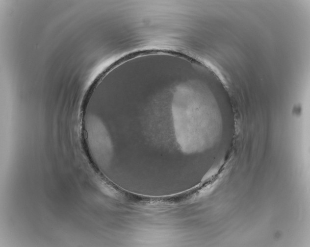 X0000090471077200708102128