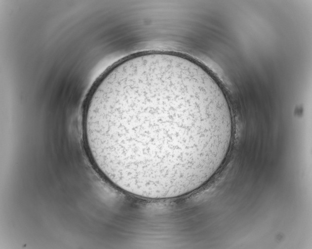 X0000090471078200708102128