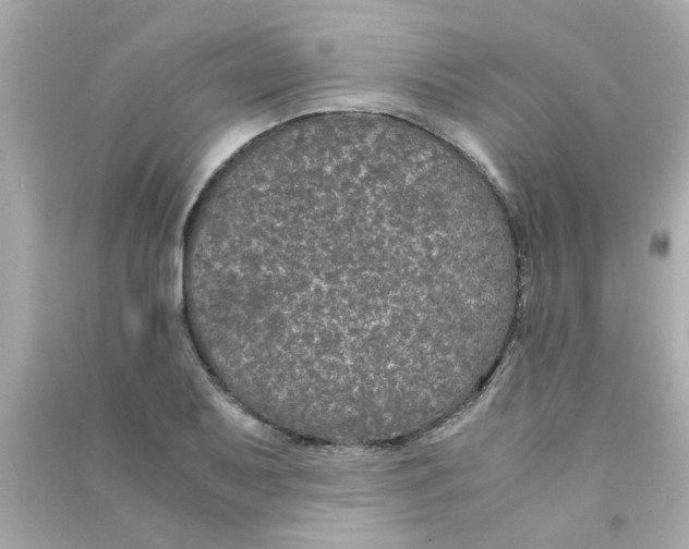 X0000090471079200708102128