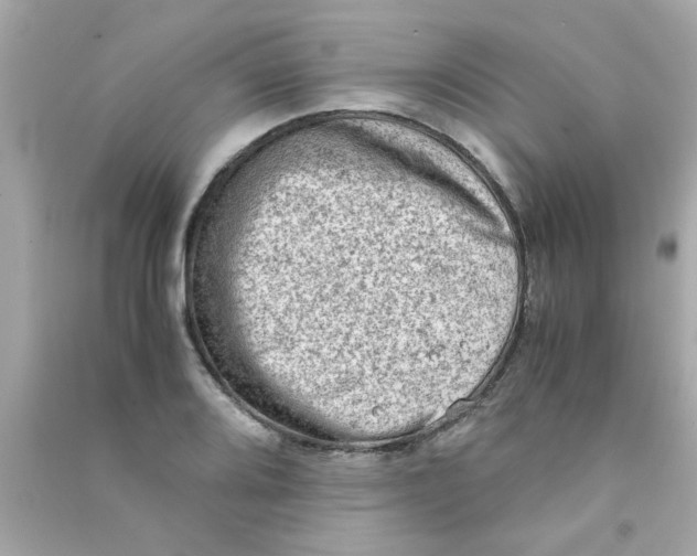 X0000090471080200708102128