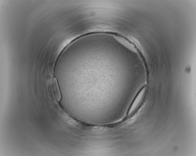 X0000090471081200708102128