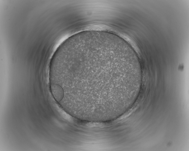 X0000090471083200708102128